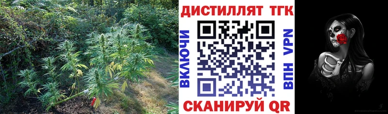 Купить закладки Жердевка Дистиллят ТГК гашишное масло